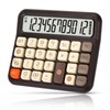 Pendancy Desk Calculator 12 Digit, Retro Cute Basic Calculator with