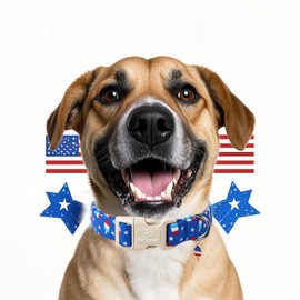 Babole Pet 4th of July Dog Collar, Summer Popsicle Patriotic Dog Collars for Large Dogs, Adjustable Lightweight Quick-Release Buckle Collar for Boy&Girl Dogs L