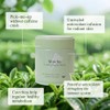 MatchAdmire Organic Culinary Grade Matcha Powder - Rich Flavor &
