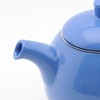 FORLIFE Curve Teapot with Infuser, 24-Ounce, Blue