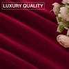 StangH Theater Red Velvet Curtains Christmas Curtains Super Soft Thermal
