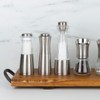 T&G CrushGrind Apollo Stainless Steel Salt Mill, 15 cm
