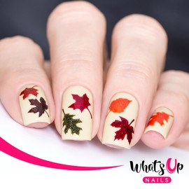 Whats Up Nails - Fall Vinyl Stencils for Nail Art Design (1 Sheet, 20 Stencils)