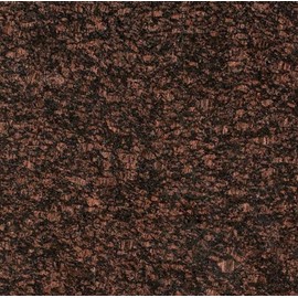 12 in. x12 in. Tan Copper Brown Speckled Polished Granite Floor and Wall Tile for Kitchen Countertops, Bathroom Wall, Entrance Floor, Backsplash, Fireplace Surround (Box of 5 Pieces)
