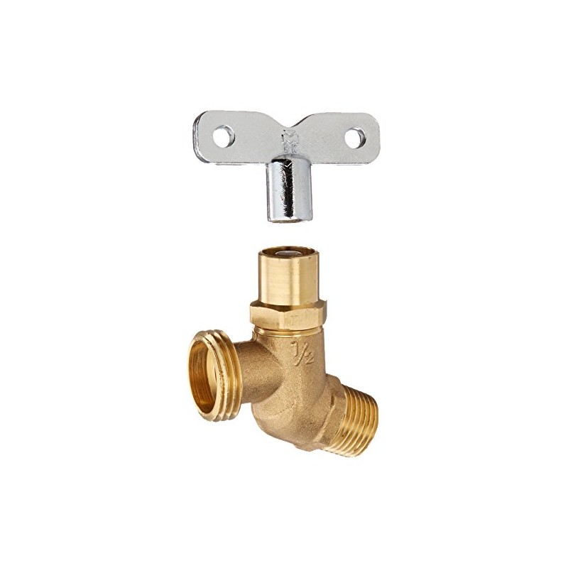 1/2" LOOSE KEY HOSE BIBB