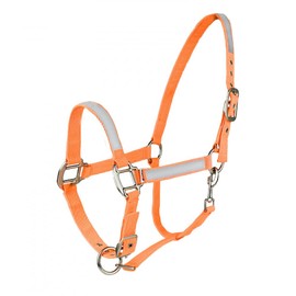 HORZE High-Visibility Adjustable Reflective Horse Halter for Nighttime Horseback Riding - Orange - Warmblood