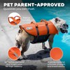 Outward Hound Granby Splash Dog Life Jacket, High-Buoyancy Dog Life