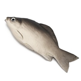 Alvorox Car Antenna Topper Fish Creative Roof Ornament, Auto Exterior Funny Aerial Decoration for Vehicles, Truck or SUV