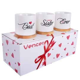 Vencer Best Sister Ever-Sister's Present for Birthday or Christmas-Cute Succulent Pots,Sister's Birthday Present,Funny Sister’s Present,VF-170S