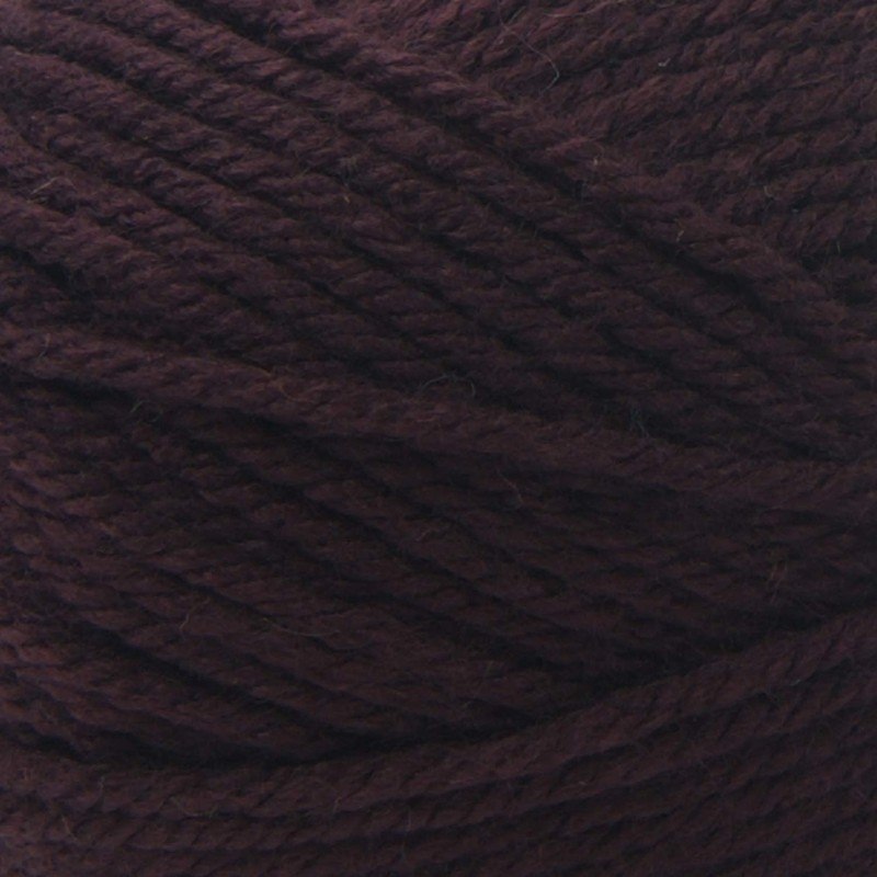 LION BRAND YARN COMPANY YARN BASIC STITCH AN EGGPLANT