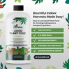32oz Aeroponics & Hydroponics Liquid Plant Food - Up to
