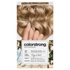 Clairol ColorStrong Permanent Zero Ammonia Hair Dye, 8.1 Medium Ash