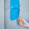 Mister Rui Paint Rollers, Nylon Paint Roller 4" (100MM), Mini