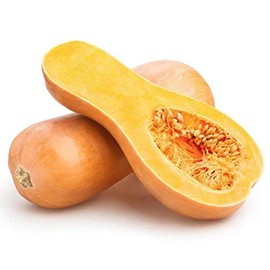UtopiaSeeds Butternut Squash Seeds - Fall Crop