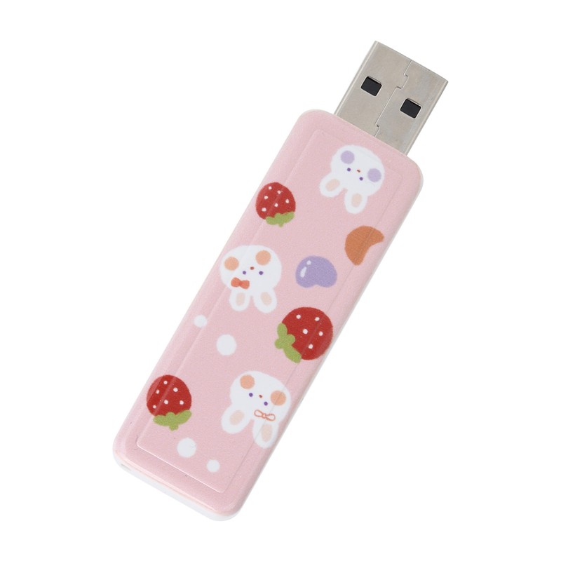 U Disk PushPull USB2.0 Memory Car Flash Drive Computer Accessories