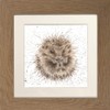 Wrendale Designs Awakening Hedgehog Framed Assorted Frame Colours - Oak