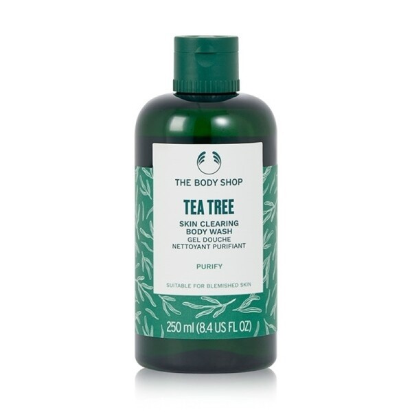 대구백화점 더바디샵티트리 스킨 클리어링 바디 워시(250ML) / 대구백화점 더바디샵티트리 스킨