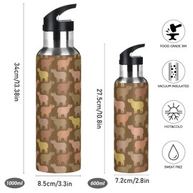 Wusikd Capybara Water Bottle with Straw Lid Double Wall Cute Thermos Bottle Vacuum Insulated Flask Stainless Steel Water Bottle for Gym Outdoor 20 OZ