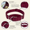 Country Brook Design | Martingale Heavyduty Nylon Dog Collar -