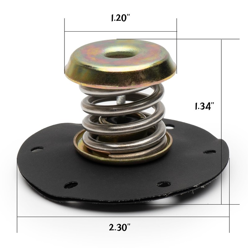 17110851 Fuel Injection Pressure Regulator