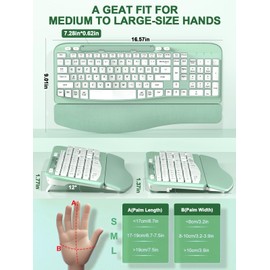 EAYBLLY Ergonomic Wireless Keyboard with Cushioned Wrist Rest, Wave Keys, Phone Holder, Comfortable Natural Typing, 2.4GHz Full Size Silent Cordless USB Computer Keyboard for Laptop, Mac, Windows (Mint Green)