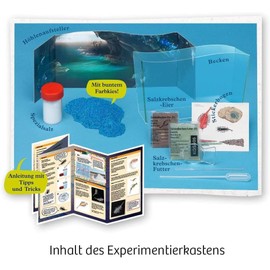 KOSMOS Fun Science [German Language Product]