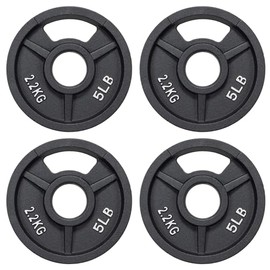 Fitvids Standard Cast Iron 1-Inch Weight Plate for Strength Training & Weightlifting, Multiple Weights Available, 5LB (Set of 4)