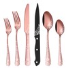 EUIRIO 72-Piece Copper Silverware Set with Steak Knives,Rose Gold Flatware