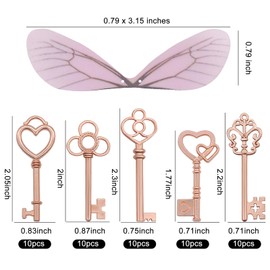 Aokbean 50 Pcs Vintage Skeleton Flying Keys Charms Pendant Crafts, Metal Antique Key with Dragonfly Wings for DIY Jewelry Making Necklace Keychain Party Favors Room Decor (Rose Gold)