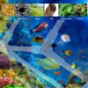 Pond Filter Box, Pond Filter Bag, Cover Anti-Clogging Cube Water