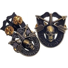 Special Forces Skull Crest DI Pin Uniform US Army SF Airborne SOG Insignia Antique 1 1/4"