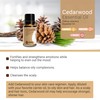 Cedarwood Essential Oil 15ml