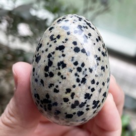 Fekuar Stone Egg Figurine, Polished Healing Crystal Easter Eggs Sphere Sculpture with Wood Stand, Dalmation Jasper, 1.8"