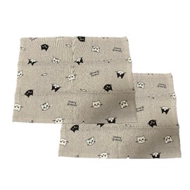 Placemat, Set of 2, Lunch Mat, Cat, Elementary School Student, Preparation for School, Nursery School, Kindergarten, Cat Pattern