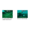 BBC Shaker Pointer Indicator Stick Diving Bell Scuba Diving Brass