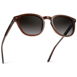 WMP Eyewear - Men's Classic Round Polarized Sunglasses, Premium Slim Acetate Frame with Dashed Rivet Details (Burnt Cedar Brown/Oak Brown Gradient Lens)