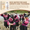 All Hair Types Hair Growth Shampoo Biotin, Rice Water for