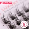 Renata Beauty Luxury Look Multipack of 48 Cluster Eyelashes for
