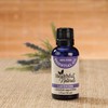 Fox Valley Traders Healthful Naturals Lavender Essential Oil - 30