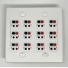 RiteAV 12 Port Speaker Jack Dual Gang Wall Plate for