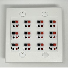 RiteAV 12 Port Speaker Jack Dual Gang Wall Plate for Home Theater - White