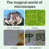 4.3 Inch Display 1000X Digital Microscope Photo Video Taking with