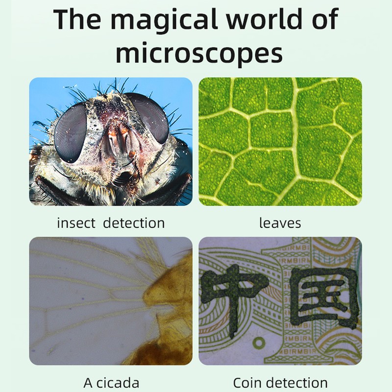 4.3 Inch Display 1000X Digital Microscope Photo Video Taking with