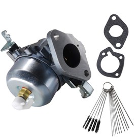 LOOFU Carburetor with Mounting Gaskets for Onan Cummins 146-0456 RV Generator 4000/6500 Watt Carb Also Replace 141-0929 146-0444