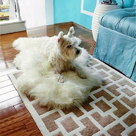 Hand Made, Faux Fur, Sheepskin Throw Rug - Area Rug - English Common Sheep - 100% Animal Friendly - Fur Accents - USA (2'x4', White)