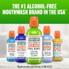 TheraBreath Fresh Breath Mouthwash, Mild Mint, Alcohol-Free, 1 Liter