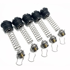 LOBIUTIYA 5Pcs 77707-0010 Thermal Regulator Kit Compatible with MasterTemp 400 250 125 200 300 333 and Sta-Rite Pool Spa Heaters Thermal Regulator, 38000-0007S 77707-0010 Thermal Regulator