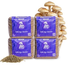 Mycelium Rye Berries Grain Spawn | 4-Pack (3 lb Each) | Pre-Sterilized Mushroom Substrate with Self-Healing Injection Ports | Bulk 12 lb Supply for High-Yield Cultivation