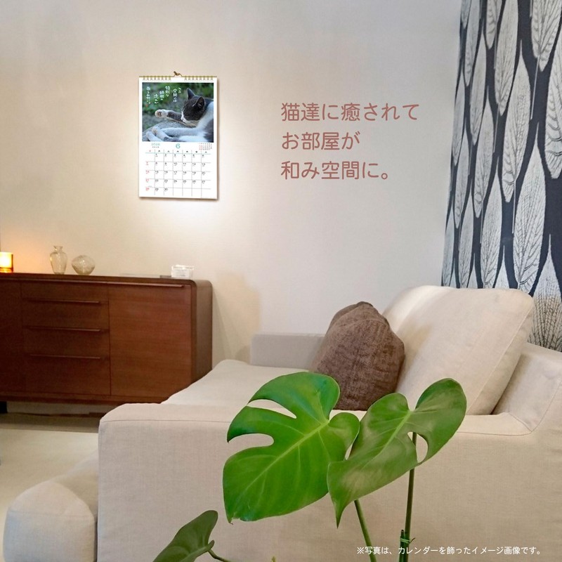 Active Corporation 2026 Calendar Wall-mounted Sunbathing Cat Chronicles 26ACL-04 2026