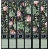 Set of 10 Wide and Narrow Folder Spines Succulent Plant